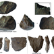 Image for article titled The World's Oldest Stone Tools Were Not Made By Humans